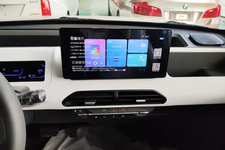 Used  Panda 2024 Panda Mini 200km Endurance Bear