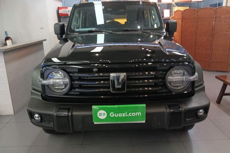 Used Tank 300 2024 2.0T Conqueror