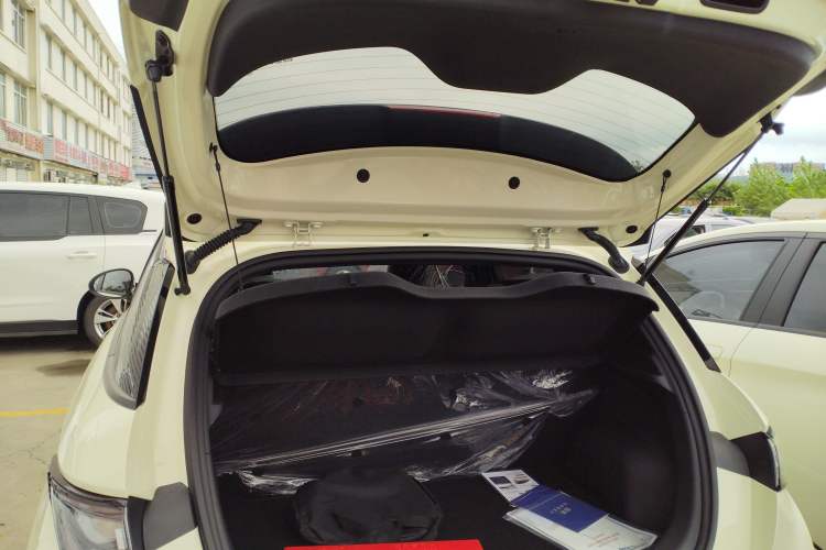 Used BYD Dolphin 2025 420km Free Edition
