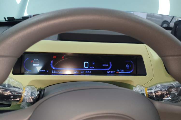 Used  Panda 2024 Panda Mini 200km Endurance Bear
