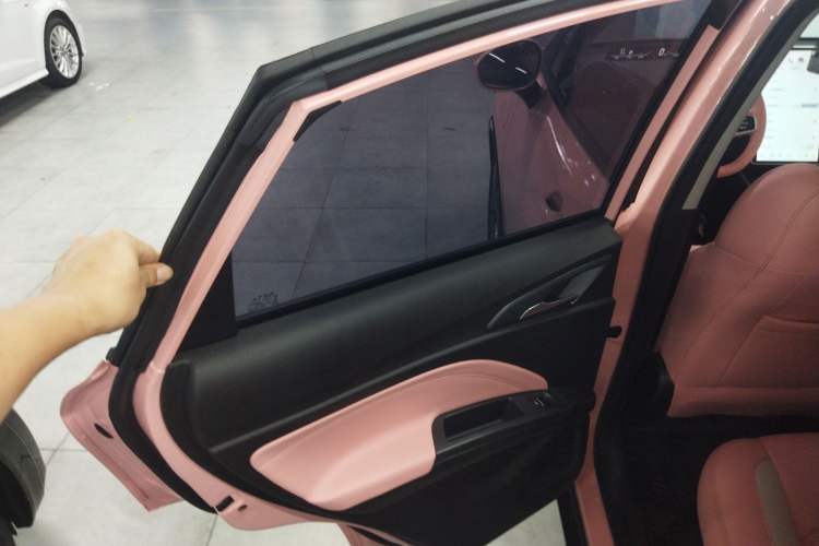 Used NETA V 2022 Chao 400 Lite Pink Custom Edition
