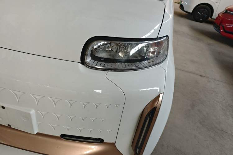 Used ORA White Cat 2022 Xiaoyue Mao Edition 360 km Luxury Model Lithium NMC
