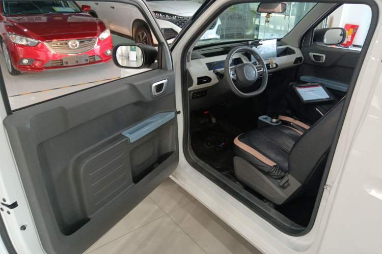 Used  Panda 2023 Panda Mini 200km Endurance Bear
