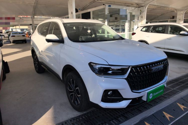 Used Haval H6 2023 National Trend Edition 1.5T Automatic Urban Version
