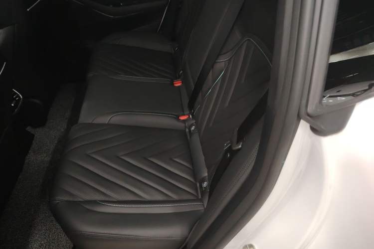 Used  SL03 2024 530 Plus Pure Electric Version
