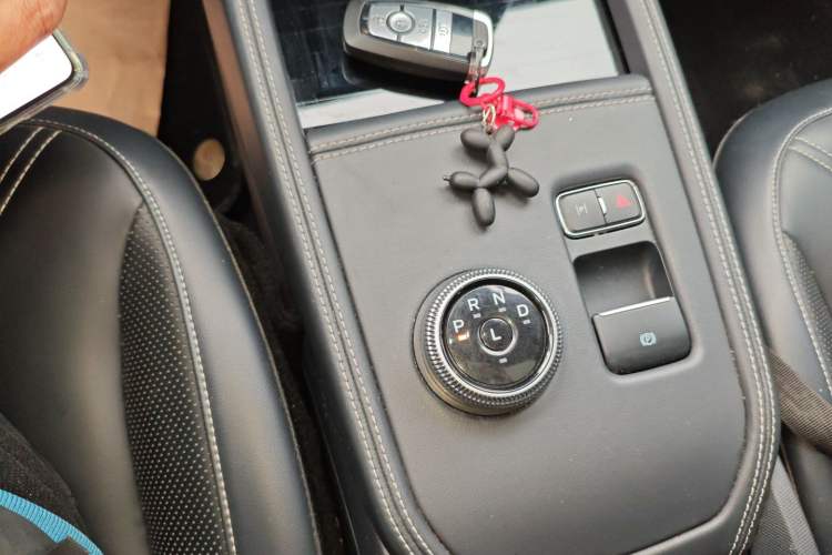 Used Ford Mustang Mach-E 2021 AION Y Plus Rear-Drive Luxury Edition (Long Range)
