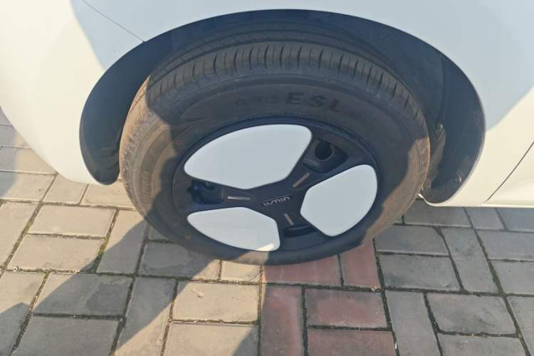 Used Qiyuan Lumin 2025 205 km Xiangqin Version
