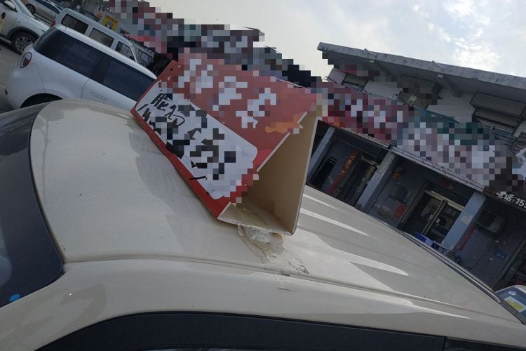 Used  Panda 2025 210 km – Yuanqi Bear
