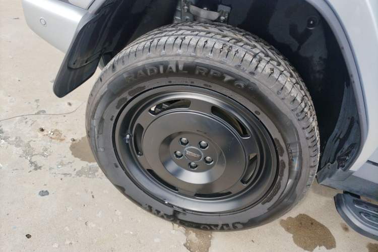 Used  V23 2025 401 Two-Wheel Drive Intelligent Driving Version