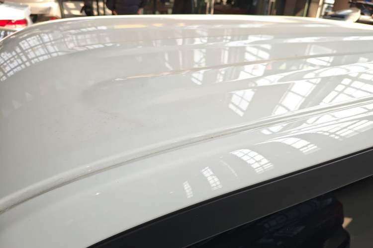 Used  Panda 2023 Panda Mini 200km Endurance Bear
