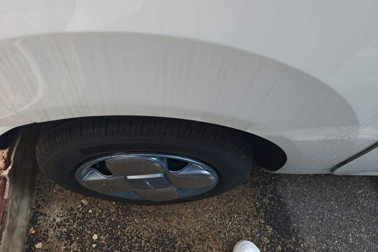 Used  Panda 2024 Panda Mini 200km Endurance Bear
