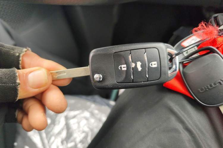 Used  Lumin 2024 130km Qingyue Version
