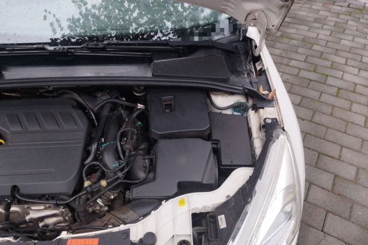 Used Ford Focus 2017 Hatchback EcoBoost 180 Automatic Elite Model
