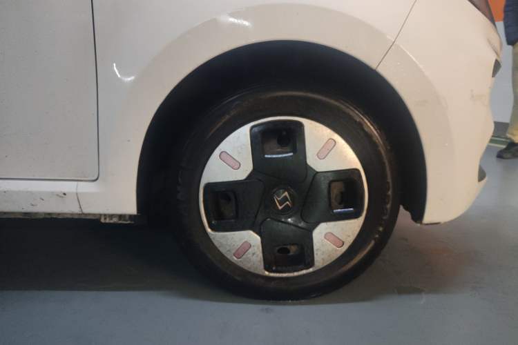 Used SOL E10X 2022 Flower Fairy Design Four-Leaf Clover
