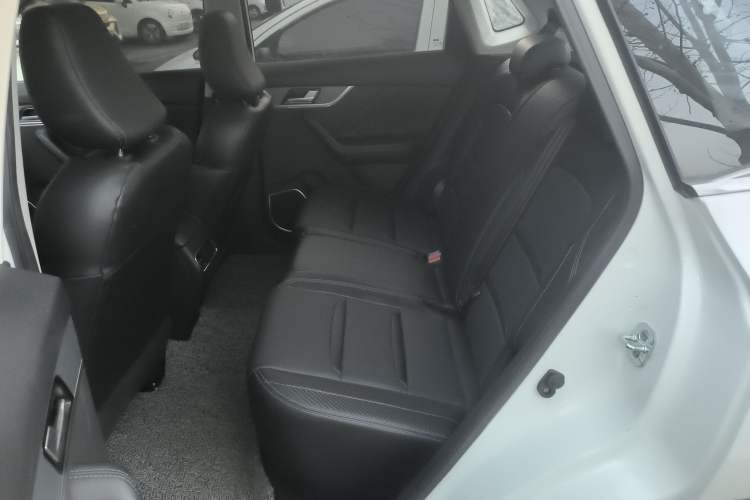 Used Venucia T60EV 2020 AI Enjoyment Model
