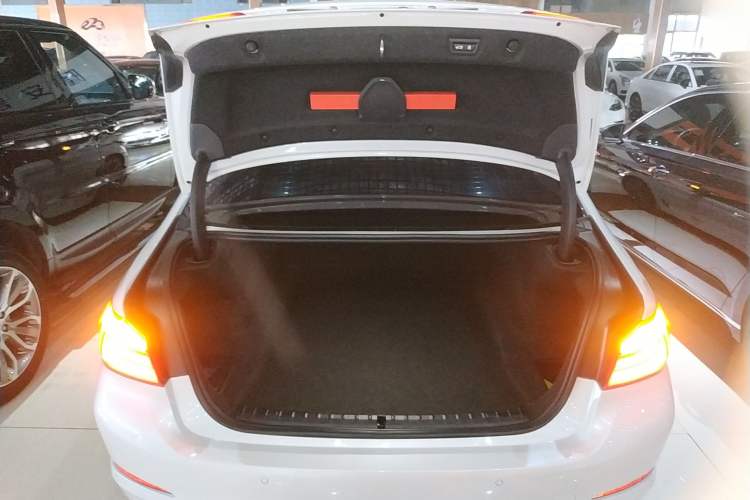 Used BMW 5 Series 2020 530Li Luxury Edition Premium Package
