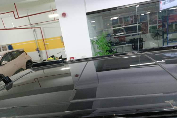 Used  03 2024 501km Two-Wheel Drive Long-Range Version