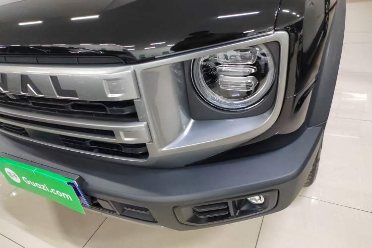 Used Haval DARGO 2024 2.0T DCT Chinese Rural Dog Edition