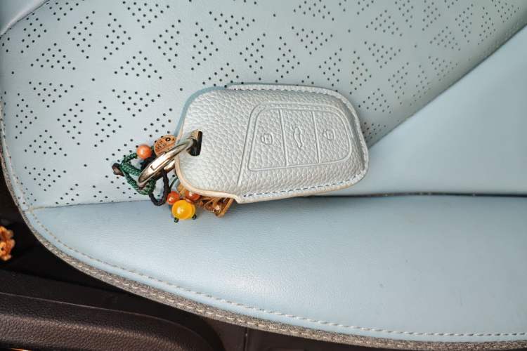 Used Chery Little Ant 2021 200 000 Yuan Ant Fan Edition Energized Version Lithium Iron Phosphate 301 km