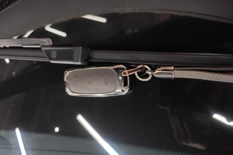 Used Li Auto L9 2022 Max model
