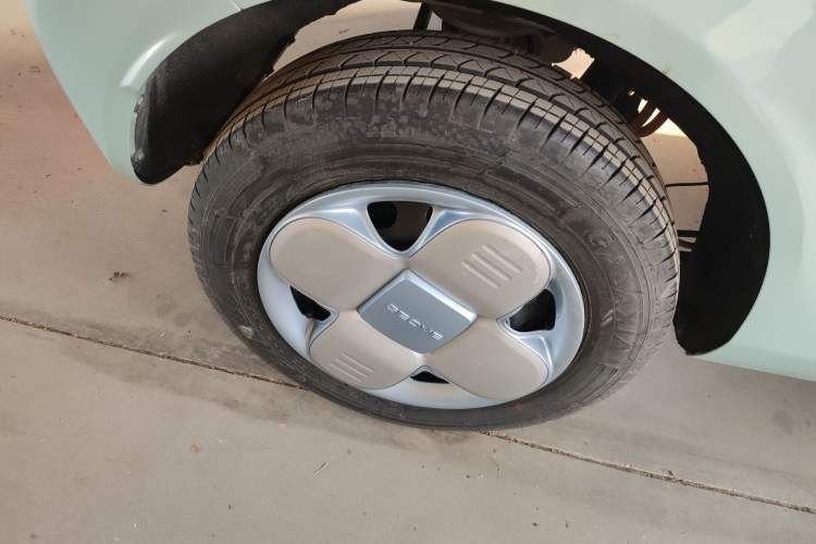 Used  Panda 2023 Panda Mini 200km Endurance Bear
