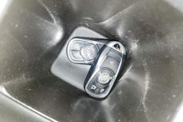 Used Buick Regal 2019 20T Elite Version China V Standard
