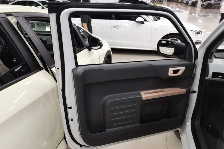 Used  Panda 2023 Panda Mini 200km Endurance Bear
