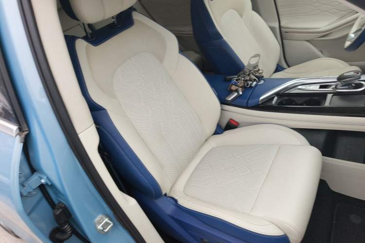 Used VOYAH FREE 2021 Four-Wheel Drive Standard All-Electric Exclusive Luxury Package