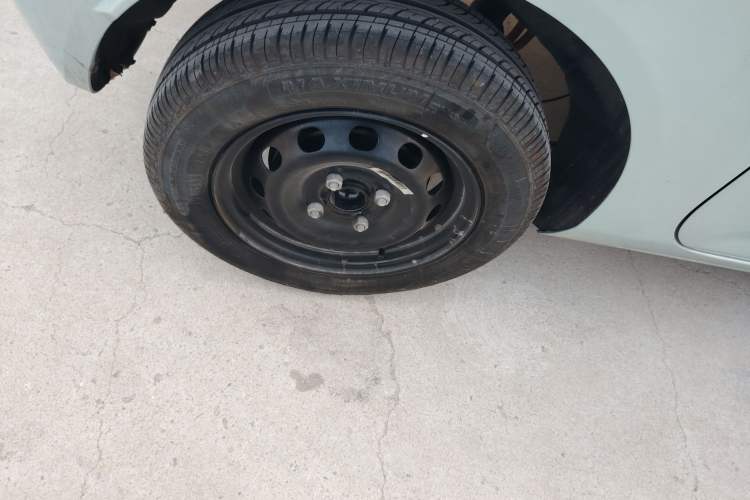 Used  Panda 2024 Panda Mini 200km Endurance Bear
