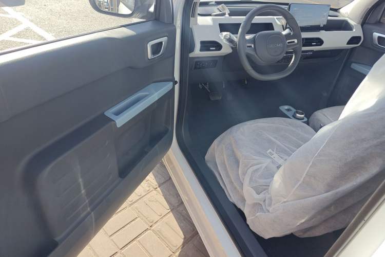 Used  Panda 2025 210 km – Yuanqi Bear