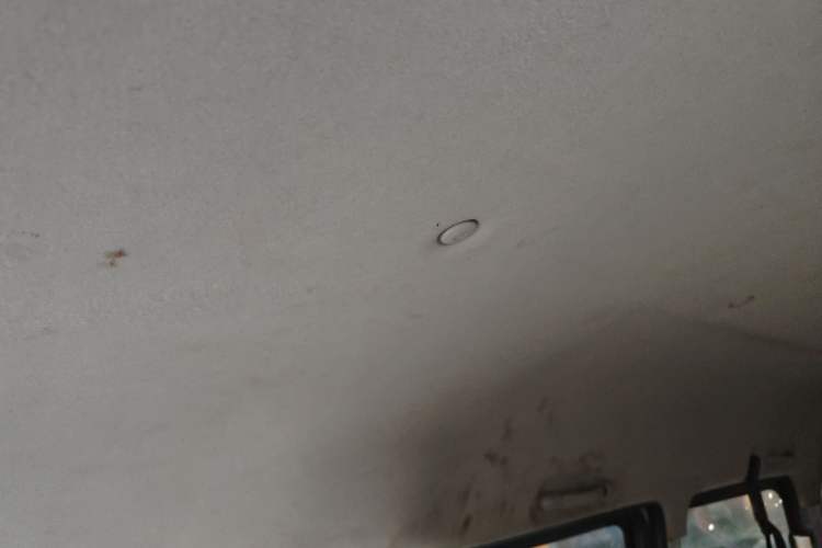 Used FORTHING Lingzhi 2019 Facelifted M5L 1.6L 7-Seater Base Model China VI Standard
