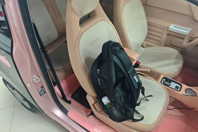 Used  Panda 2023 Panda Mini 200km Endurance Bear