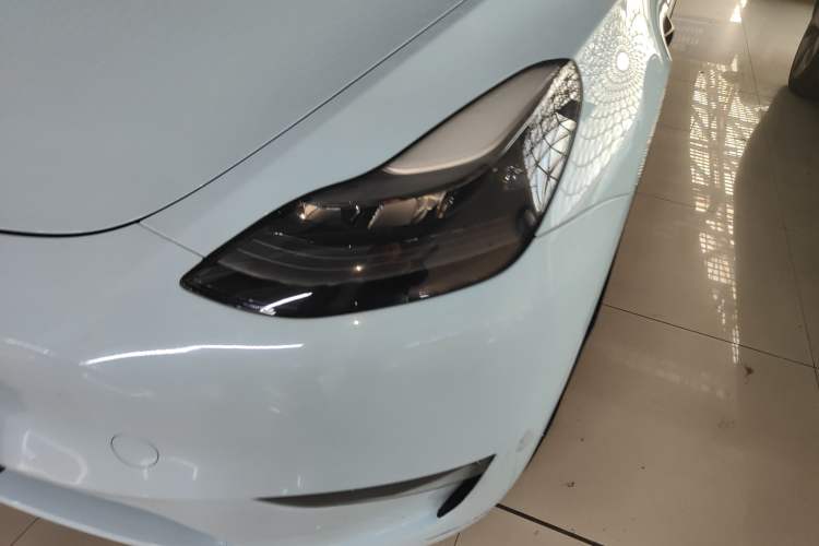 Used Tesla Model Y 2021 Standard Range Rear-Wheel Drive Version
