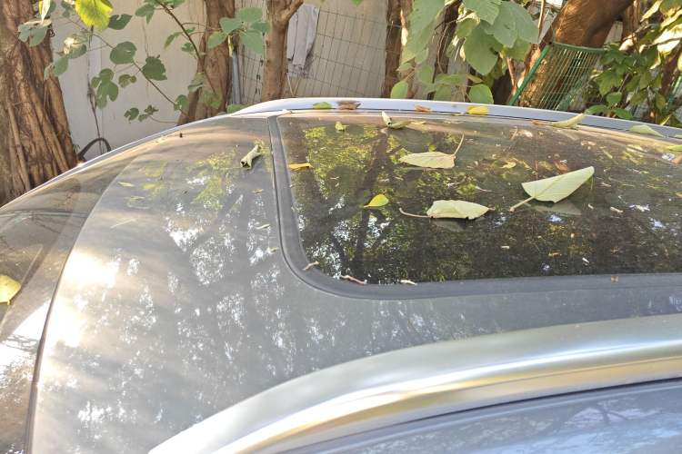 Used BYD Song PLUS New Energy 2021 DM-i 110KM Flagship PLUS
