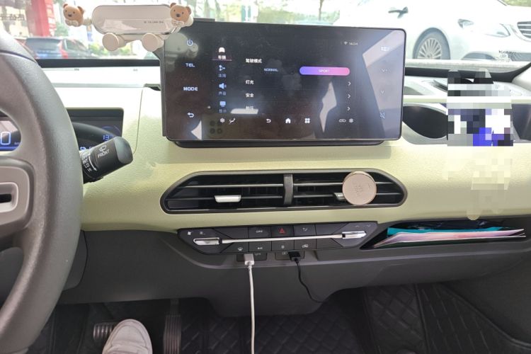 Used  Panda 2023 Panda Mini 200km Endurance Bear
