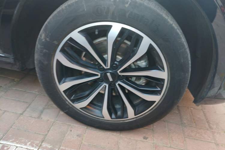 Used Wey Mocha 2021 2.0T Two-Wheel-Drive Premium Edition