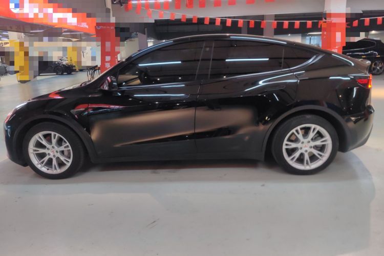 Used Tesla Model Y 2021 Standard Range Rear-Wheel Drive Version
