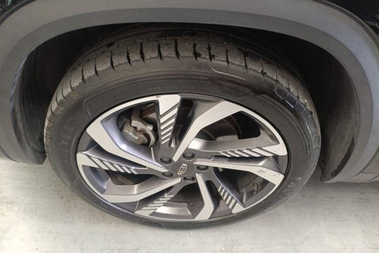 Used Geely Auto Monjaro L 2024 2.0TD High-Power Automatic Two-Wheel Drive Skyline Edition
