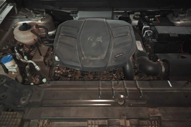 Used Hongqi HS5 2019 2.0T Smart Connect Flagship Edition