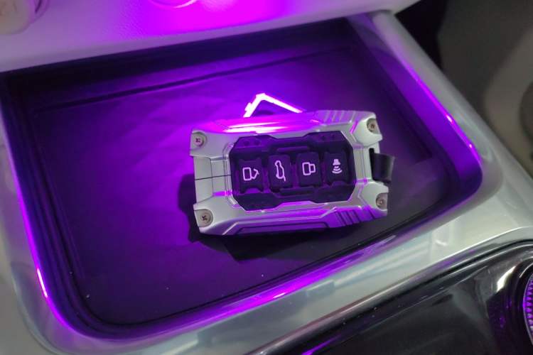 Used  Tank 300 2021 2.0T Cyber Tank
