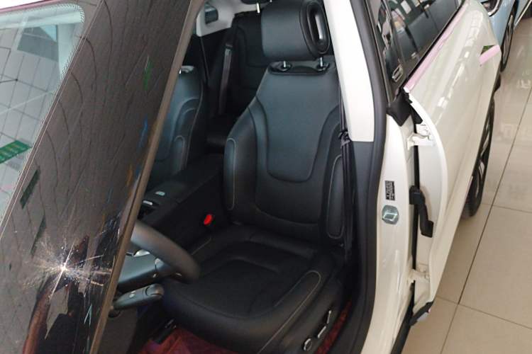 Used  #1 2024 Dynamic Standard Edition