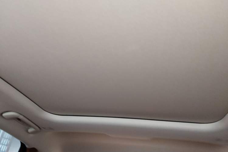 Used Hongqi H9 2023 2.0T Smart Connect Flagship Edition
