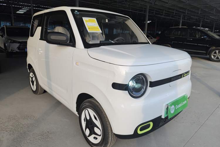 Used  Panda 2025 210 km – Yuanqi Bear
