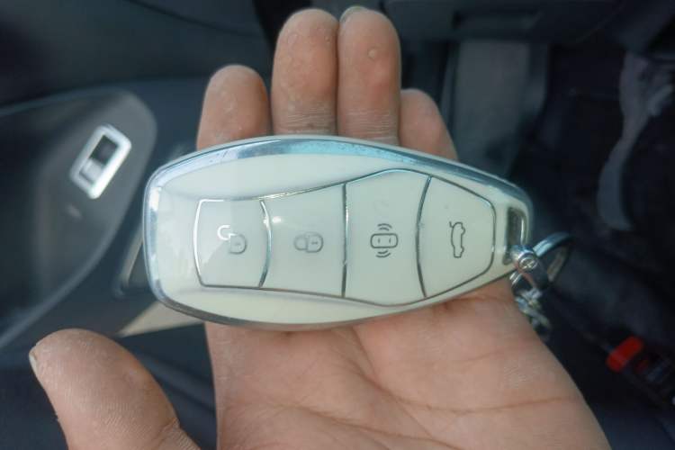 Used Hongqi H5 2023 2.0T Automatic Smart Connect Flagship Edition
