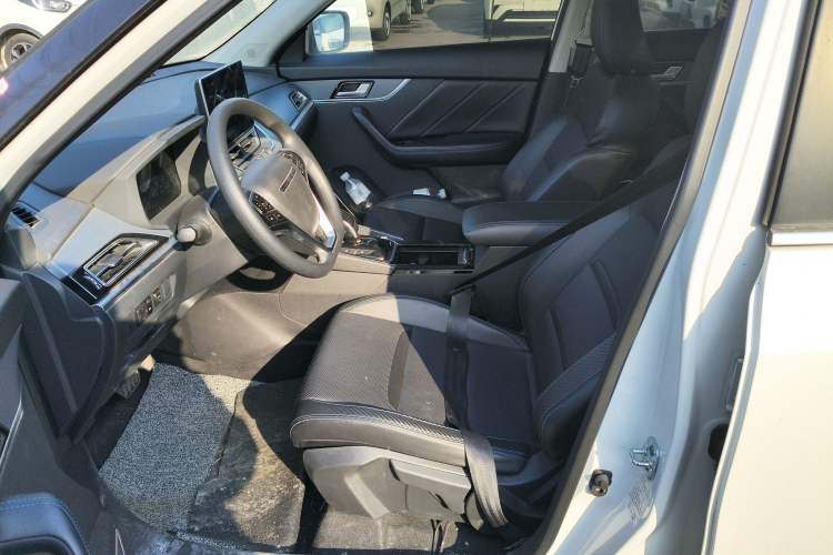 Used Venucia T60EV 2020 AI Enjoyment Model
