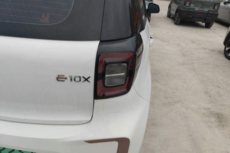 Used SOL E10X 2022 Flower Fairy Design Four-Leaf Clover