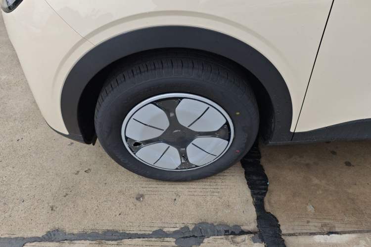 Used  Geome 2025 310km Youth Edition
