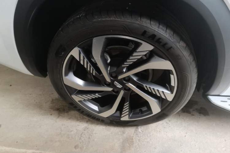 Used Geely Auto Monjaro L 2024 2.0TD High-Power Automatic Two-Wheel Drive Skyline Edition
