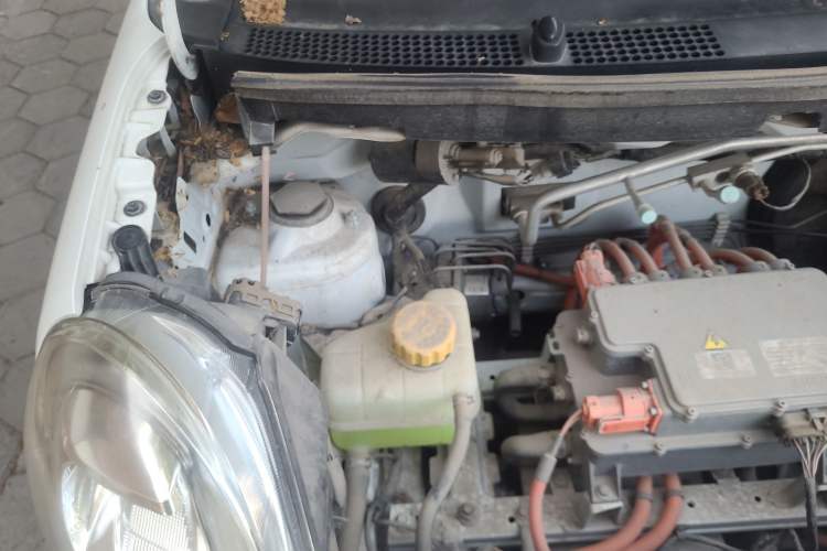 Used  LINGBOX 2022 ZHUOWENJUN Edition