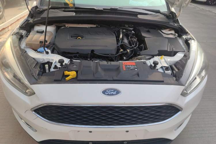 Used Ford Focus 2017 Hatchback EcoBoost 180 Automatic Elite Model
